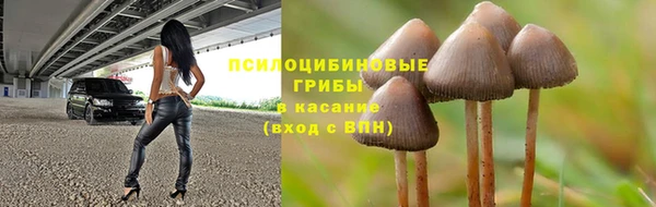 бошки Магас