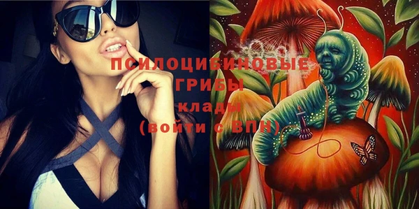 прущие грибы Алексеевка