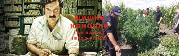 кокаин колумбия Алексин