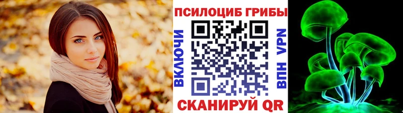 как найти закладки  Сосновый Бор  Псилоцибиновые грибы мицелий 